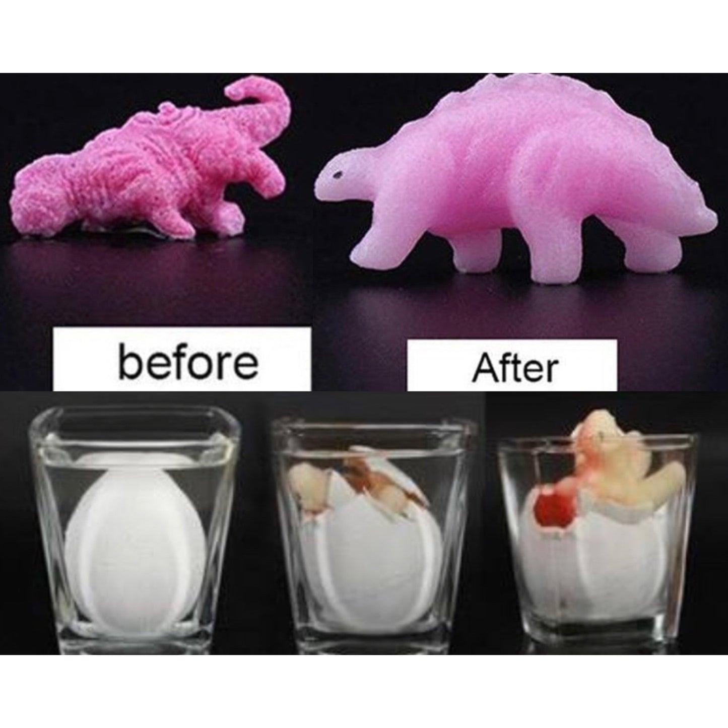 Crazy Fun Set of 6 Hatching/Growing Dinosaur Eggs